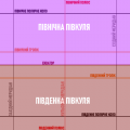 Мініатюра для версії від 20:41, 5 січня 2025